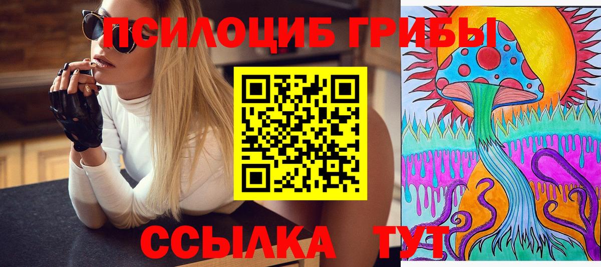 Галлюциногенные грибы мухоморы Советская Гавань