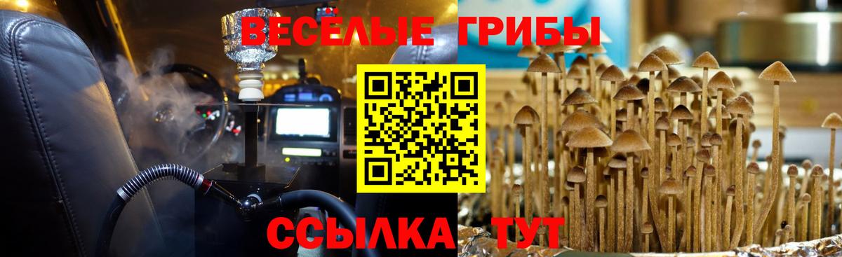 Галлюциногенные грибы Cubensis  Вход с VPN  Советская Гавань 